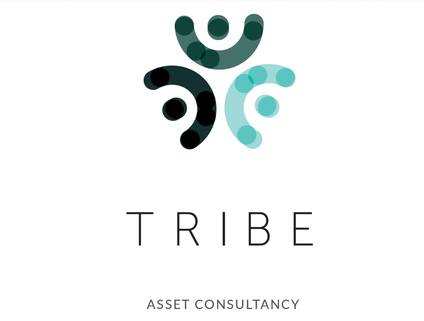 Tribe Consultancy