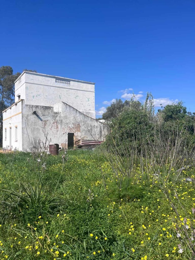 Detached Four-Bedroom Villa to Restore with Sea Views, Moncarapacho
