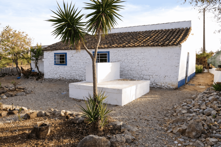 Village House with Land in Santa Catarina da Fonte do Bispo